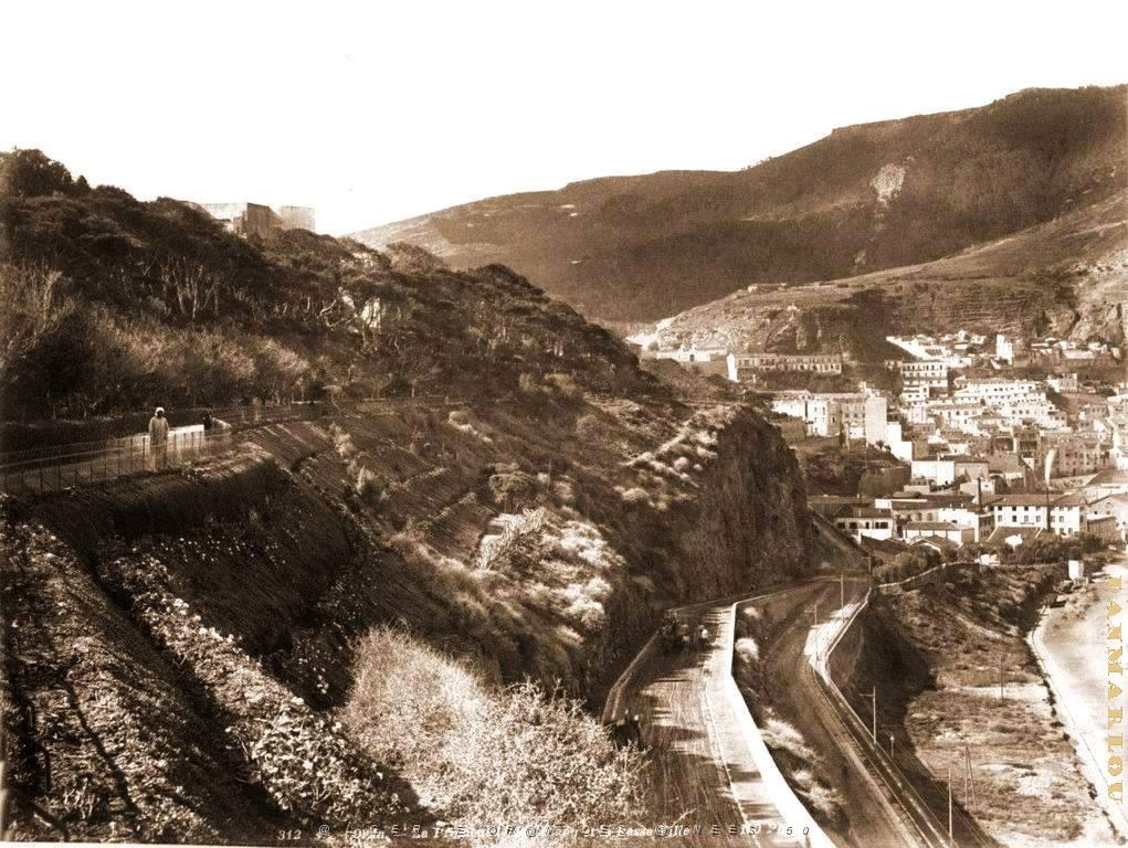 ORAN 053.jpg